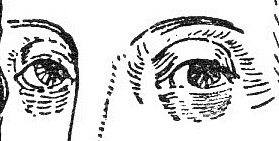 Shakespeare's eyes 